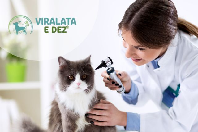 Planos de saúde empresariais cobrem pet como dependente? VERDADE ou MITO (guia completo e atualizado)