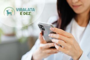 contato vira-lata e dez