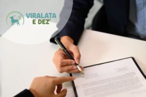 termos de uso vira-lata e dez